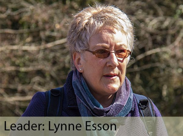Leader: Lynne Esson